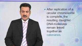 BIO731_Topic049