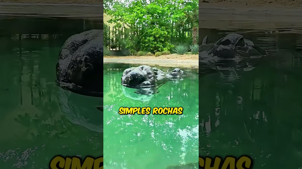 TOME CUIDADO AO ENTRAR NO RIO 😱