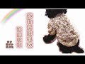 第十款 pet clothes 宠物两脚毛衣 （棒针圈织）
