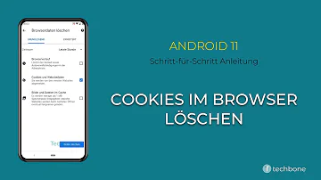 Wie lösche ich Cookies in meinem Browser?