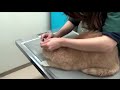 ♂猫だいずが病院で腰を抜かした 【猫の動画日記こむぎ＆だいず】2016.05.02