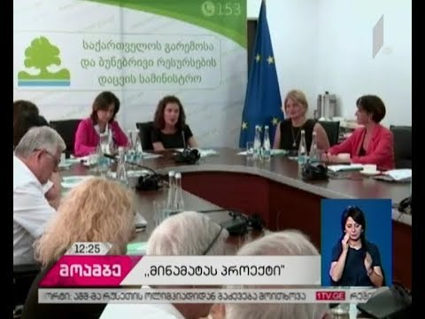 გარემოს დაცვის სამინისტროში „მინამატას პროექტის“ შემაჯამებელი შეხვედრა გაიმართა