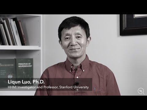 Liqun Luo Biography
