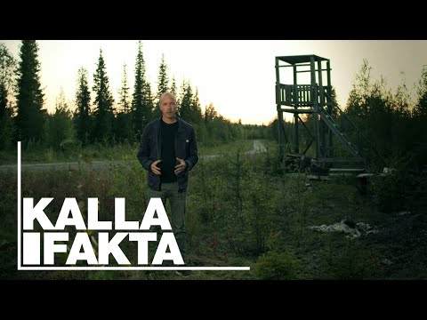 Kalla Fakta: Lappjävlar - TV4