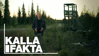 Kalla Fakta: Lappjävlar - TV4