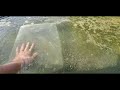 DIY way to keep your pond fish warmer in the winter and safe in the summer with a Pond fish cave