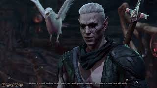 Baldur's Gate 3 - Meeting a Shadar-kai and his white raven in the shadowlands Net Worth