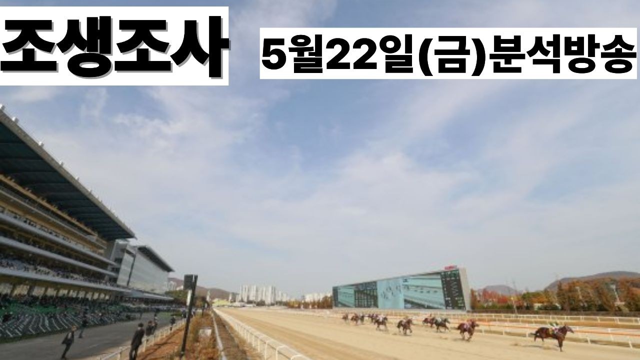 조생조사(5월22일,금요경마 분석방송)