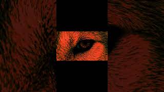 Трек: ImZy - Волки | тгк: ImZy | #музыка #индимузыка #hiphop #newmetal #music