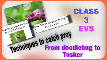 CLASS 3 EVS 3-09-21 doodlebug TO Tusker..methods of catching prey