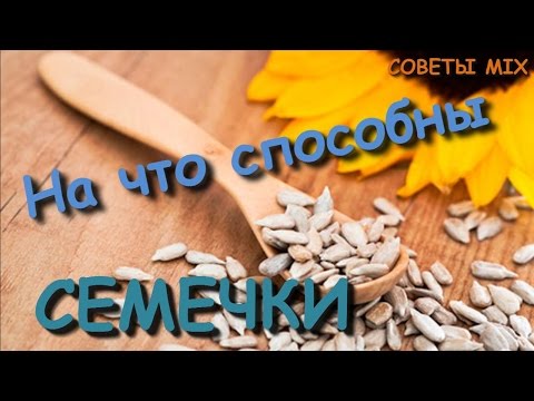 Что будет если есть много семечек? Все о подсолнечных семечках