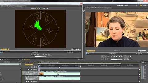 The Vectorscope in Premiere Pro