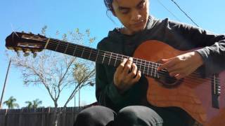 Death of a Strawberry (acoustic guitar cover) chords