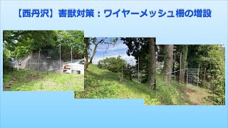 ワイヤーメッシュ柵で害獣対策を強化したら効果絶大‼ 頻繫に来ていたシカ、イノシシ、ハクビシン、タヌキが殆ど来なくなった。