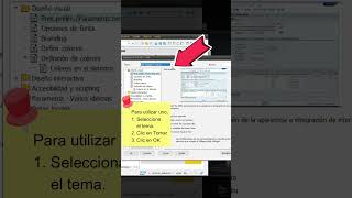 Personaliza tu SAP Logon con un nuevo tema.