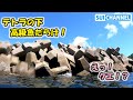 漁港のテトラが大物だらけ!?メジナにイシダイ、あの高級魚も!Dive into the wave-dissipating block of the fishing port