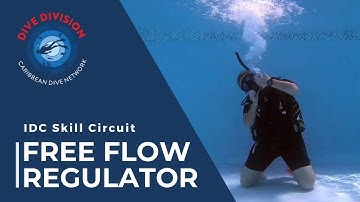PADI IDC Skill Circuit: Free Flow Regulator (Revised Instructor Development Course)