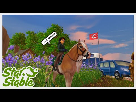 Green Doves SSO || Halflinger Showcase || Club Horse ?️