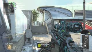 Fails!+ Worst Troll Ever (BO2)