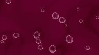 Bubbles abstract | purple maroon background | 4k Bubbles abstract | purple maroon background | 4k