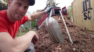 The 2 Most Important Tools to Transform Your Yard with Wood Chips
