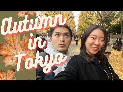 ชมใบไม้เปลี่ยนสีที่โตเกียว ไปง่ายสะดวกสวยงาม | Gaienmae | Harajuku | Autumn in Tokyo