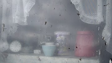 Spider (Exit North)
