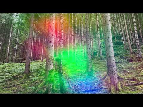 Mall Grab - Long Season Intro Edit