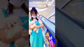 ITU BONEKA ATAU ANAK DOGGY YA⁉️ #funny #prank #vlog #cute #comedy #trending #gedget #fidgettoy