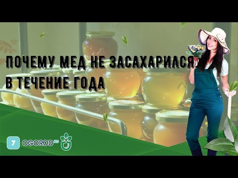 Почему мед не засахарился в течение года