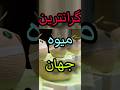 حقایق گرانترین میوه جهان حقایق حقایق جالب فکت ایران فیلم کلیپ عشق بهترین خدا