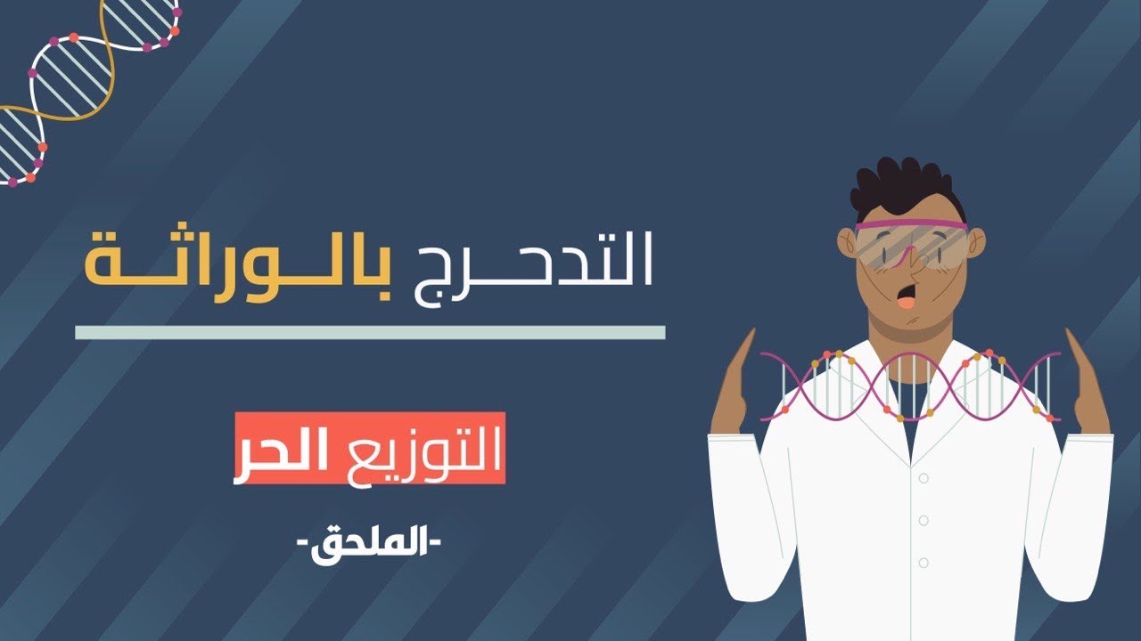 ملحق التوزيع الحر ( حل الواجب )