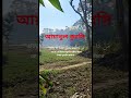 আয়াতুল কুরসি #ayatulkursi #holyquran #viralvideos #youtubeshort #suraan #viral #shorts