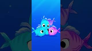 Lullaby Fish Secret Wave Compass 🐟🧭🌊