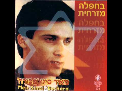 מאיר סיני שיחקת לי אותה Wmv 