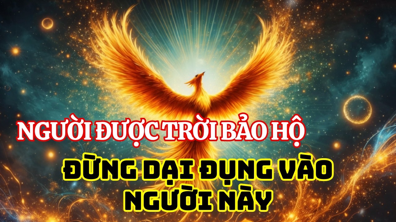 Vì Sao Có Người Càng Bị Hại Càng May Mắn? Bí Mật Người Được Trời Giúp