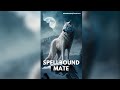 Spellbound mate the unseen bonds  warewolf romance free audiobook complete