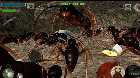 Ant  Simulation 3D -lnsect Survival Game