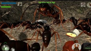 Ant  Simulation 3D -lnsect Survival Game screenshot 4