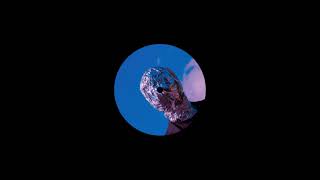 Wild Reflection - Blue
