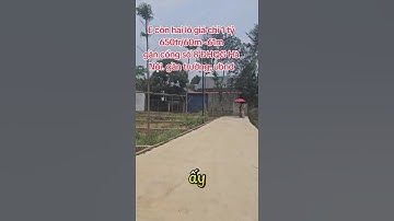 Đất Nền Hoa Lạc 61m² Chỉ 20 triệu/m²|Hoàng Hường