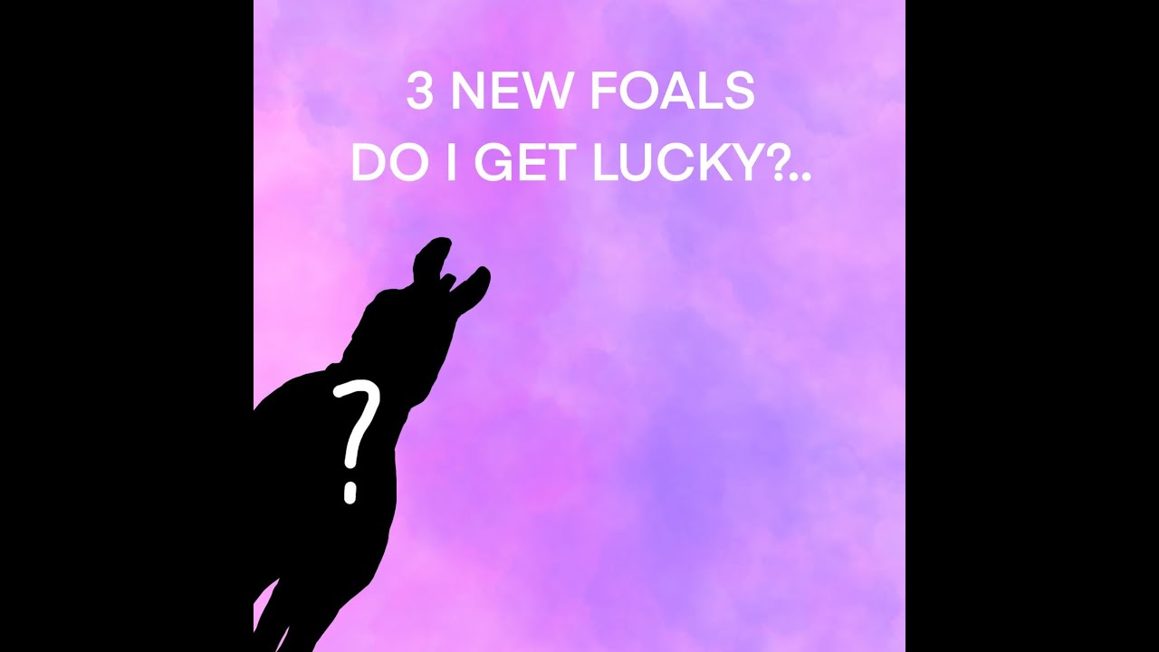 3 New foals... do I get lucky?