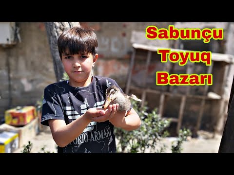 Sabunçu Toyuq Bazarı