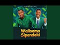 Walisema Sipendeki