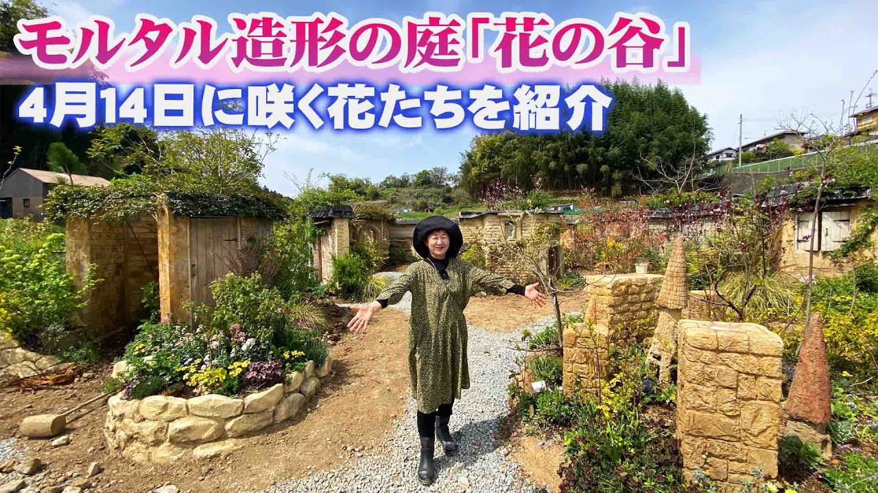 モルタル造形の庭】4/14春のオープンガーデンで公開できなかった花たち
