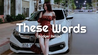 Natasha Bedingfield - These Words (Badger Remix)  Car Music