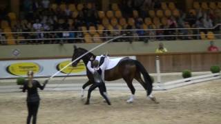 CVI Belgium 2016 - Cyril Michel SUI (Senior 3*)