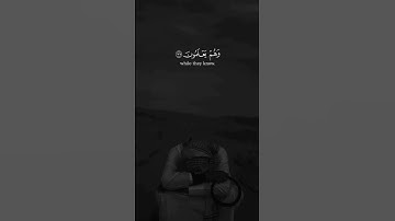 سورة ال عمران - الشيخ سعد الغامدي #قرآن #قران_كريم #المصحف #اكسبلور