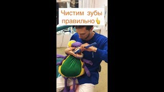 Как правильно чистить зубы Как правильно чистить зубы