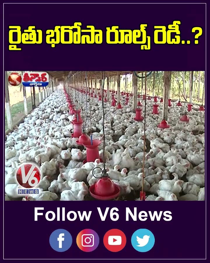 Govt To Discuss Rythu Bharosa Rules And Regulations In Assembly  | V6 Shorts